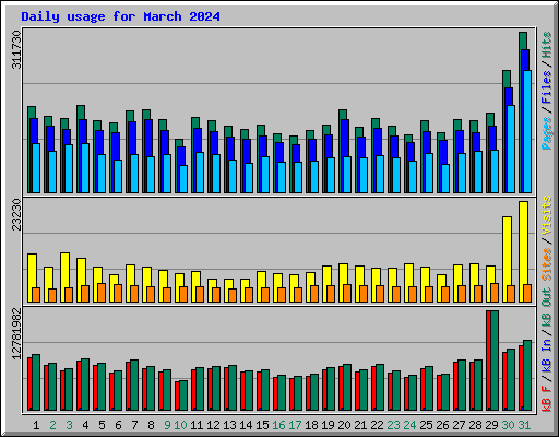 Daily usage for March 2024