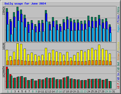 Daily usage for June 2024