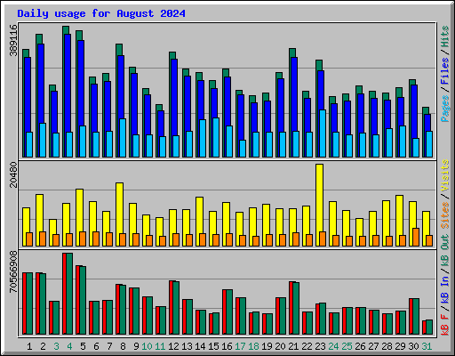 Daily usage for August 2024