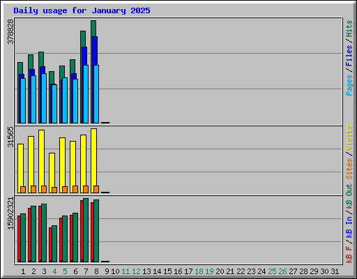 Daily usage for January 2025