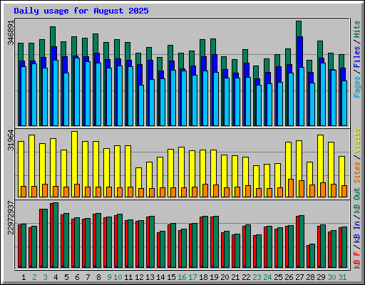 Daily usage for August 2025