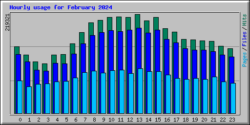 Hourly usage for February 2024