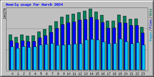 Hourly usage for March 2024