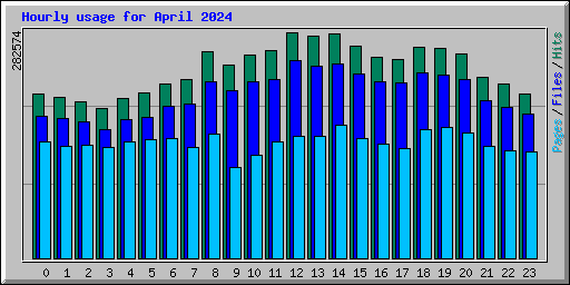 Hourly usage for April 2024