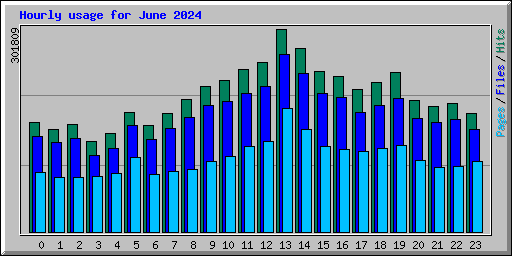 Hourly usage for June 2024