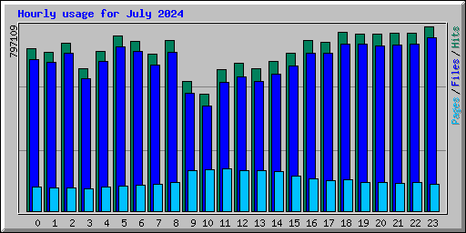 Hourly usage for July 2024