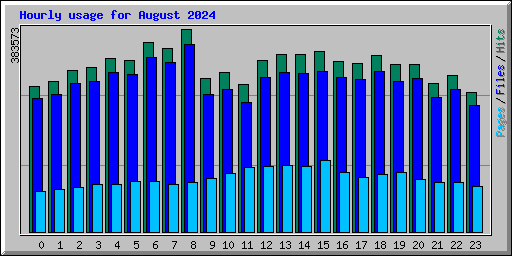 Hourly usage for August 2024