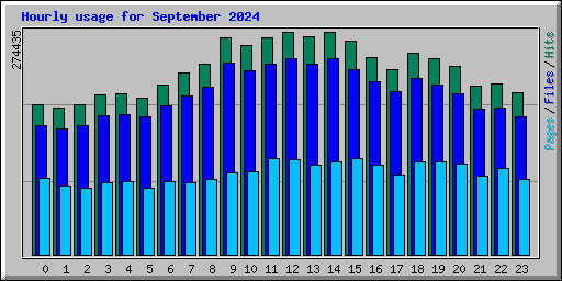 Hourly usage for September 2024