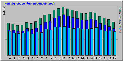 Hourly usage for November 2024