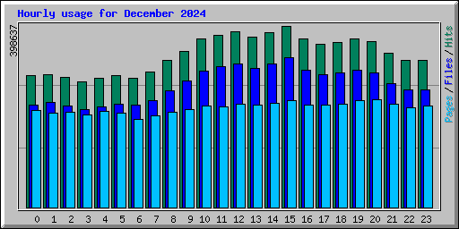 Hourly usage for December 2024