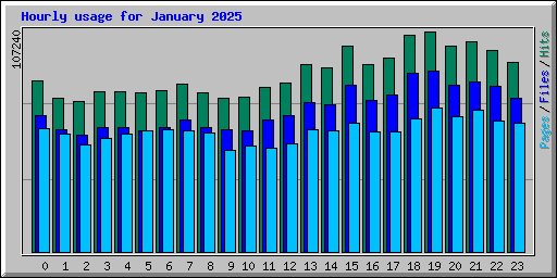 Hourly usage for January 2025