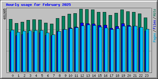 Hourly usage for February 2025