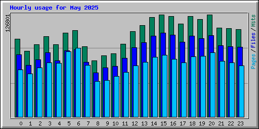 Hourly usage for May 2025