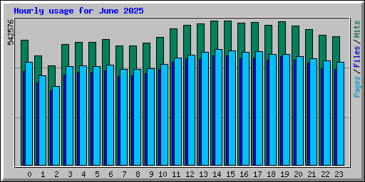Hourly usage for June 2025