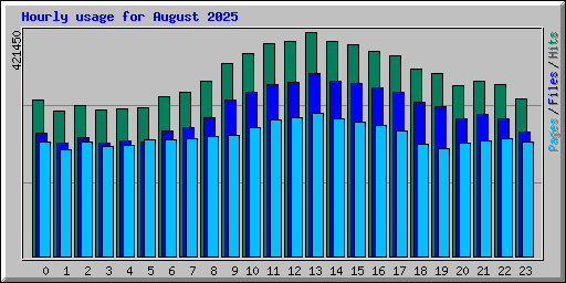 Hourly usage for August 2025