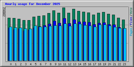 Hourly usage for December 2025