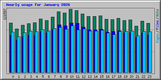 Hourly usage for January 2026